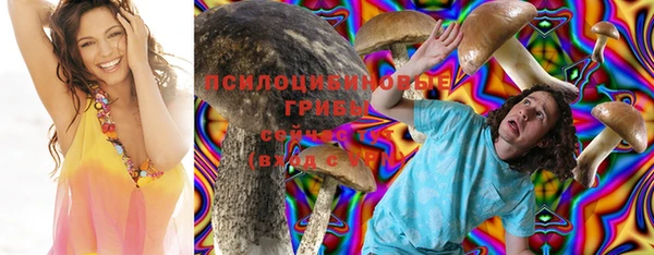 мяу мяу кристалл Бородино