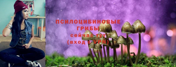 мяу мяу кристалл Бородино